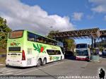 Unidades Doble Piso / Nilahue - Pullman Tur