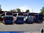 Unidades Doble Piso / Eme Bus