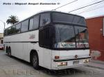 Marcopolo Paradiso GIV1400 / Scania K113 / AlberBus - Servicio Especial