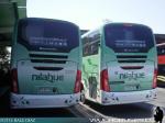 Mascarello Roma 370 / Volvo B430R - Mercedes Benz O-500RSD / Nilahue