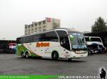 Neobus New Road N10 380 / Scania K400 / Erbuc