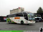 Neobus New Road N10 380 / Scania K400 / Erbuc