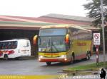 Marcopolo Paradiso 1200 / Volvo B12R / Cruz del Sur