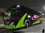 Zhong Tong LCK6137 / Alberbus