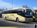 Golden Dragon / Interbus