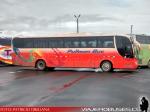 Marcopolo Viaggio 1050 / Scania K340 / Pullman Bus