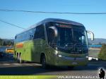 Marcopolo Paradiso G7 1200 / Mercedes Benz O-500RSD / Tur-Bus