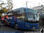 Golden Dragon / Buses Diaz