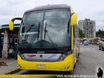 Neobus New Road N10 380 / Scania K400 / Jet Sur