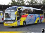 Neobus New Road N10 380 / Scania K400 / Jet-Sur