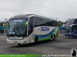 Neobus New Road N10 380 / Scania K400 / Tacoha