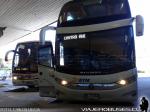 Unidades ETM - Queilen Bus - Trans Chiloe / Terminal de Ancud
