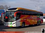 Neobus New Road N10 380 / Volvo B420R / Linatal