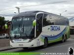 Neobus New Road N10 380 / Scania K400 / Tacoha