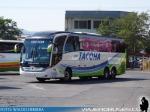 Neobus New Road N10 380 / Scania K400 / Tacoha