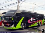 Zhong Tong LCK6137 / Alberbus