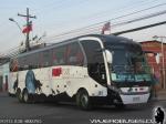 Neobus N10 380 / Scania K410 / Moraga Tour