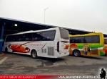 Unidades Busscar / Mercedes Benz O-500RS - O-400RSE / Pullman del Sur - Buses Villa Prat