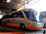 Marcopolo Paradiso G7 1050 / Mercedes Benz - Scania - Volvo / Cruz del Sur