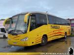 Irizar Century / Mercedes Benz O-500R / Thaebus