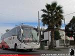 Neobus New Road N10 380 / Scania K400 / MT Bus