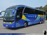 Neobus New Road N10 380 / Scania K400 / Bus Sur