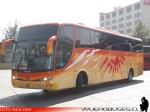 Marcopolo Paradiso 1200 / Volvo B9R / Salon Rios del Sur