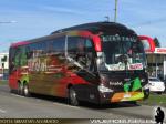 Irizar I6 3.90 / Scania K410 / Linatal