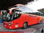 Flota Buses Pullman Bus