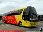 Yangzhou Yaxing YBL6140HPQ / Interbus