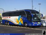 Neobus New Road N10 380 / Volvo B420R / Pullman JR