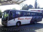 Marcopolo Ideale 770 / Mercedes Benz OF-1721 / Buses Angulo