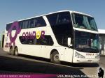 Modasa New Zeus II / Mercedes Benz O-500RSD / Condor