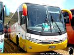Flota de Buses Queilen Bus - Especial Caminata Los Andes 2015