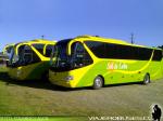 Unidades Yutong ZK6129H / Sol de Lebu