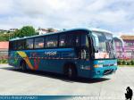 Marcopolo Viaggio GV1000 / Volvo B10M / Turisur