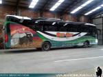 Mascarello Roma MD / Mercedes Benz OF-1724 / Bus - Sur