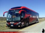 Mascarello Roma 370 / Scania K410 / Bus Sur