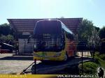 Yangzhou Yaxing YBL6140HPQ / Interbus