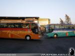 Marcopolo Paradiso 1200 / Mercedes Benz O-500RSD / Queilen Bus