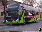 Zhong Tong LCK6137 / Alberbus