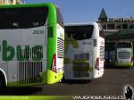 Unidades Marcopolo G7 DD / Tur-Bus - Condor Bus