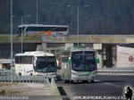 Unidades Mercedes Benz / Buses Jeldres - Linea Azul