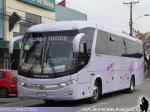 Marcopolo Viaggio G7 1050 / Mercedes Benz O-500R / Pullman Contimar