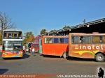 Unidades Volvo - Mercedes Benz / Linatal - Terminal de Linares