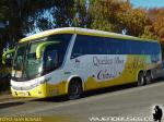 Unidades G7 / Queilen Bus