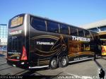 Modasa New Zeus II / Scania K410 / Thaebus