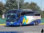 Neobus New Road 380 / Volvo B420R / Pullman JR