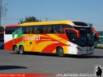 Mascarello Roma 370 / Scania K410 / Linatal