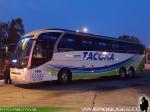 Neobus New Road 380 / Scania K400 / Tacoha